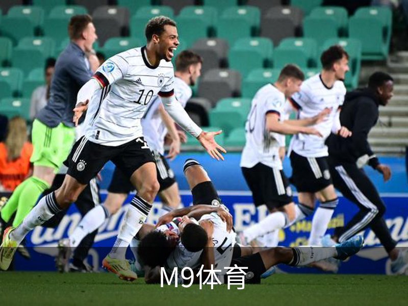 M9体育介绍